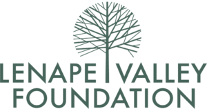 Lenape Valley Foundation